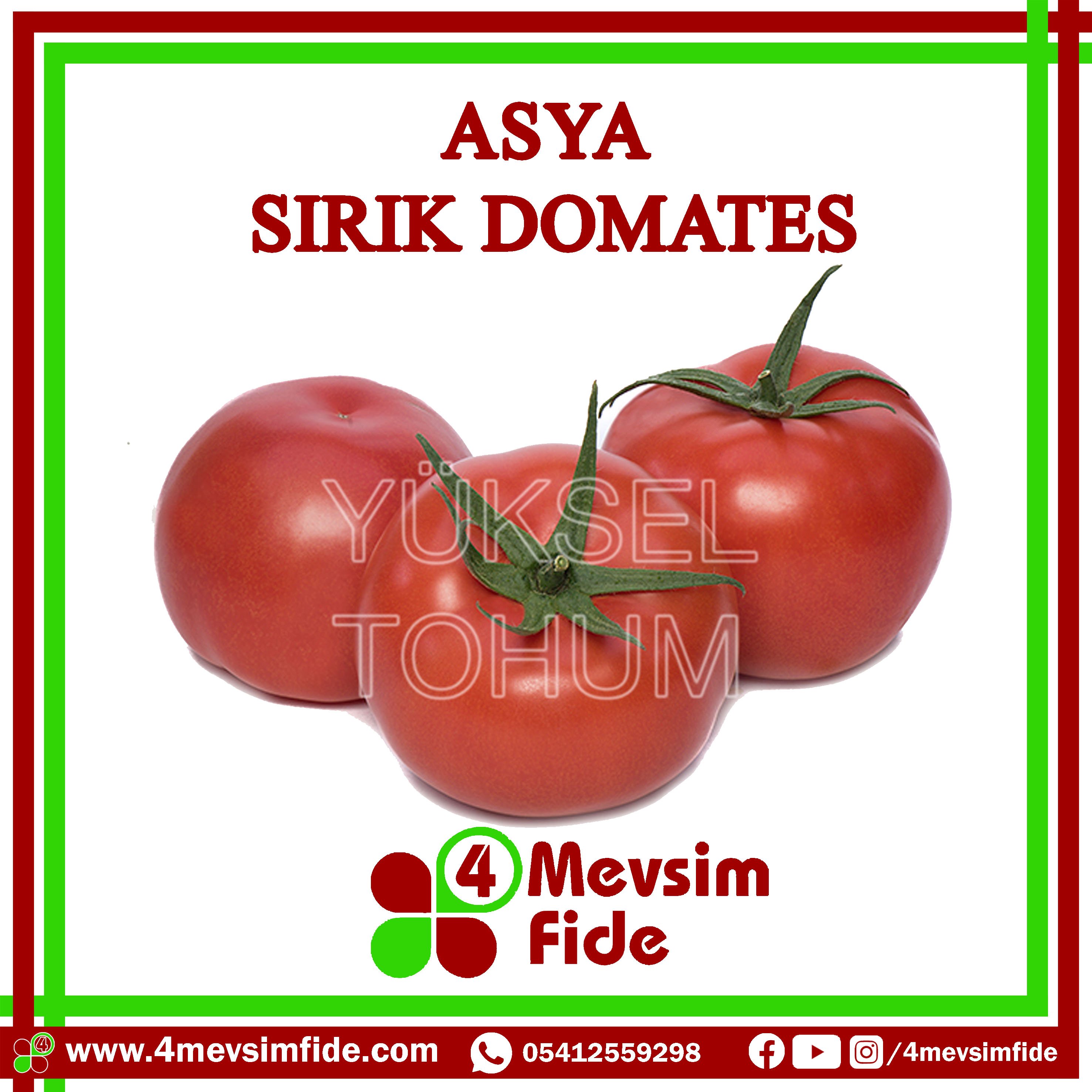 Asya F1 Sırık Domates